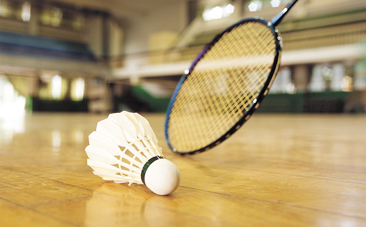 柞木排球館木地板結構