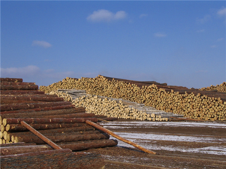 實(shí)木運(yùn)動(dòng)地板工廠