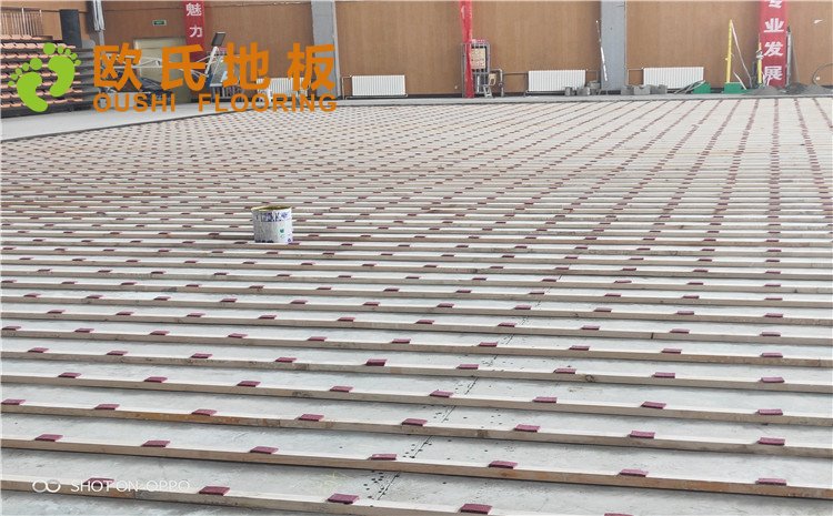 西寧市世紀(jì)職業(yè)技術(shù)學(xué)?；@球訓(xùn)練館木地板圖片